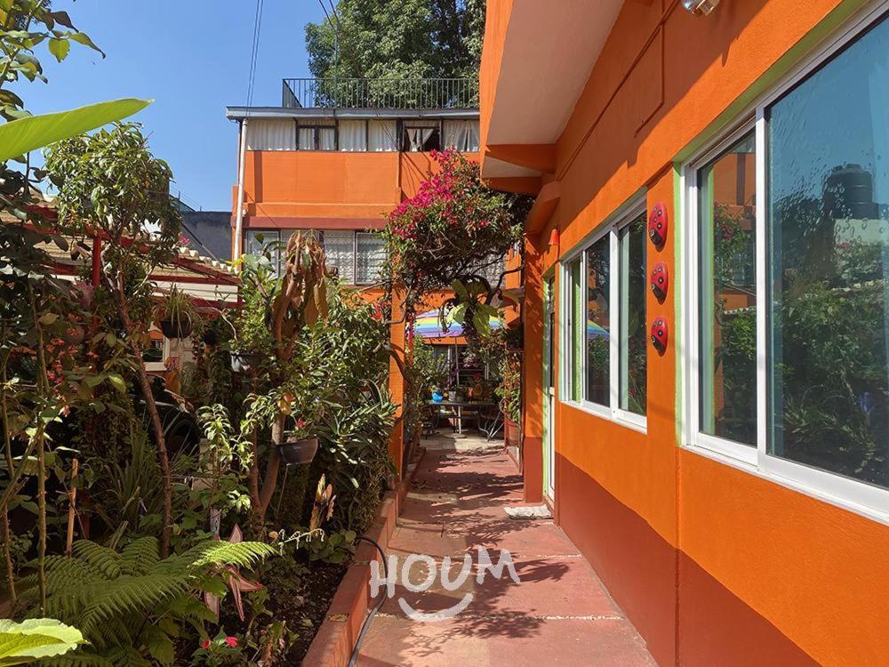 Hermoso Depa De 3 Recamaras Y 2 Banos En El Centro De Coyoacan Apartman Mexikóváros Kültér fotó